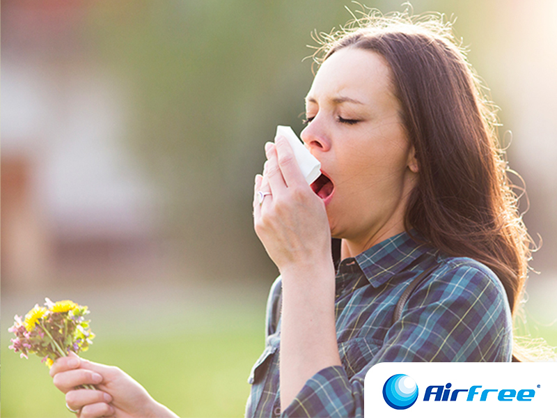 Blog Airfree Primavera e alergias respiratórias
